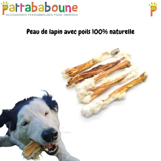 Peau de lapin pour chien avec poils