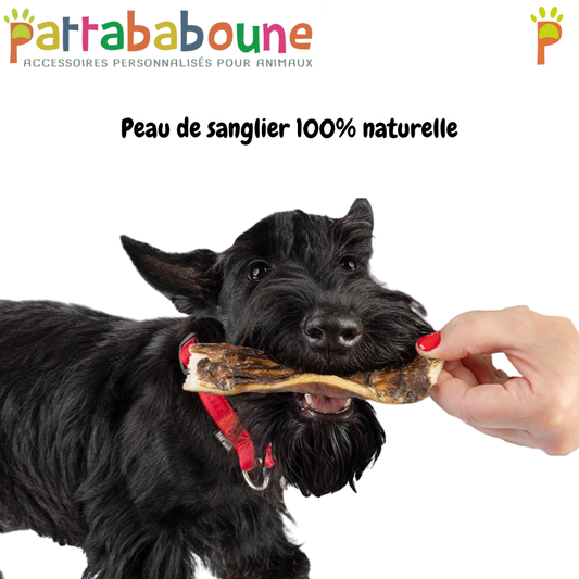 Peau de sanglier 100 % naturelle pour chien - à l'unité