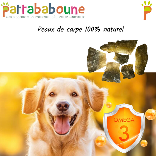 Peaux de carpe pour chien et chat 100 % naturelles