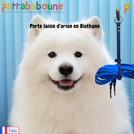 Porte-laisse d'Orion personnalisé en biothane 16 mm