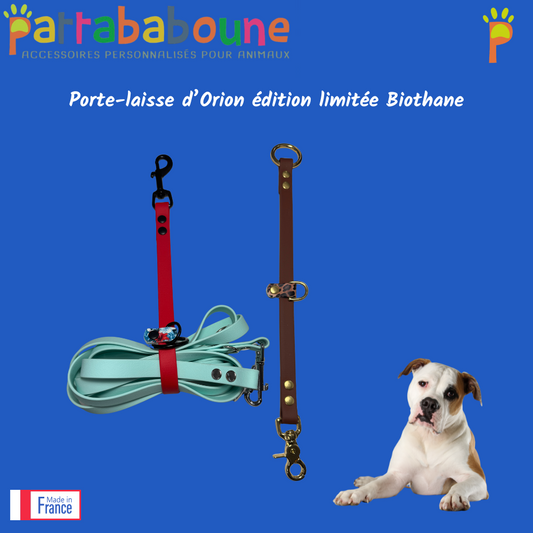 Porte-laisse d'Orion personnalisé en biothane 16 mm édition limitée