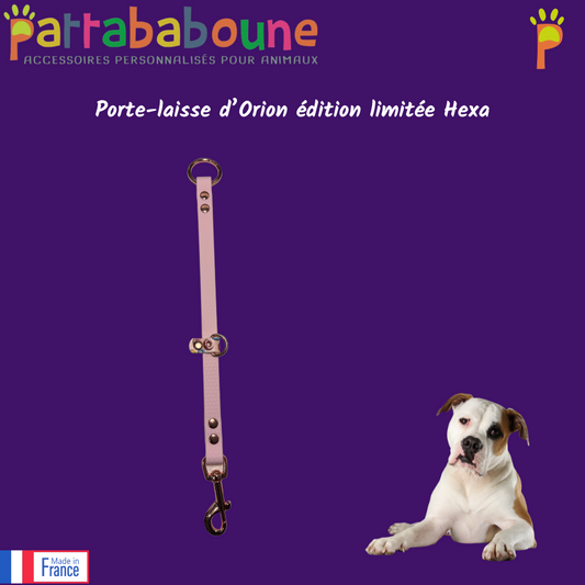 Porte-laisse d'Orion personnalisée en hexa 16 mm édition limitée