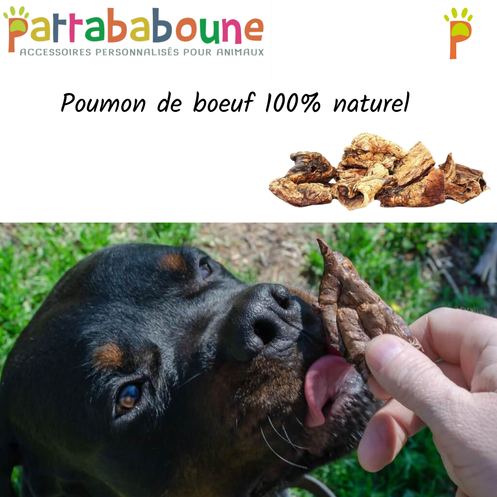 Poumon de boeuf pour chien 100 % naturel