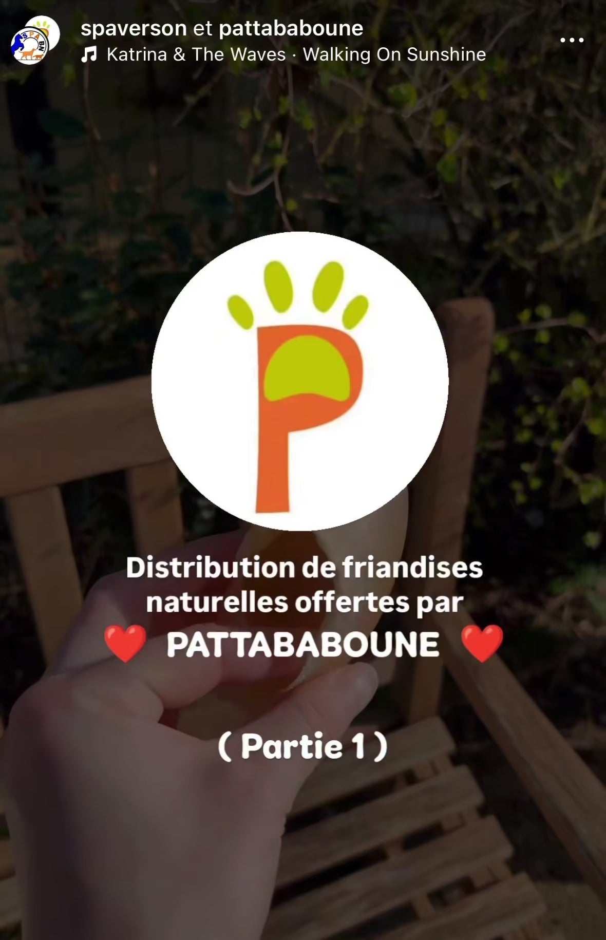 Charger la vidéo : 