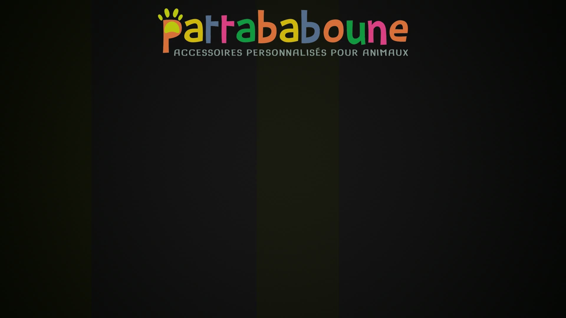 Charger la vidéo : Compte à rebours pour la révélation du nouveau projet Pattababoune demain à 18 h