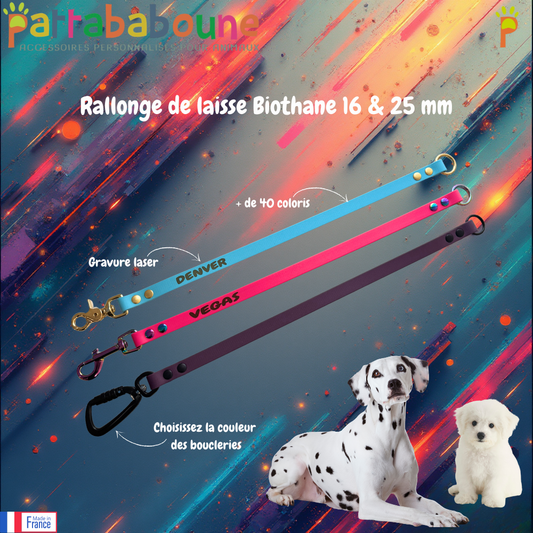 Rallonge de laisse chien personnalisé en biothane - 16 & 25 mm