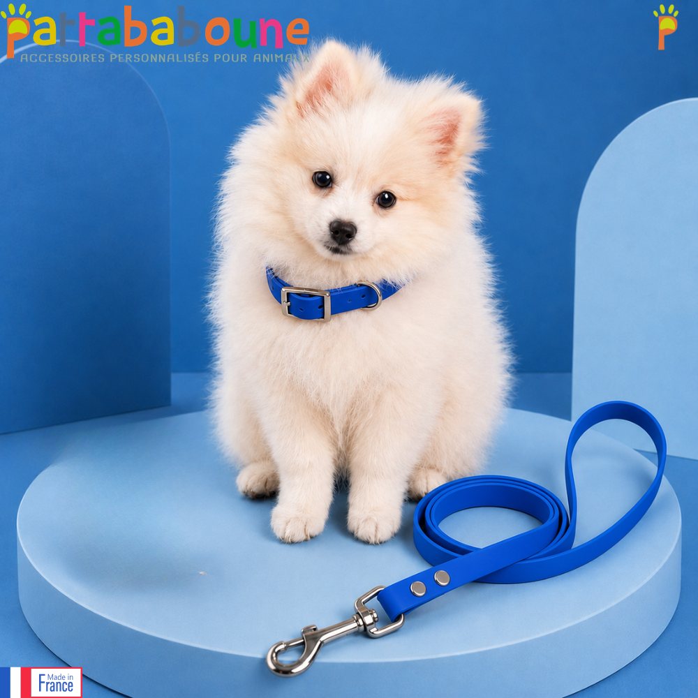 Kit refuge TPU - Collier & laisse 16 mm pour chien | Pattababoune
