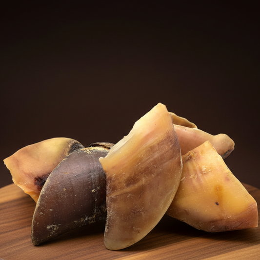 Sabot de Bœuf Séché pour chien 100% Naturel