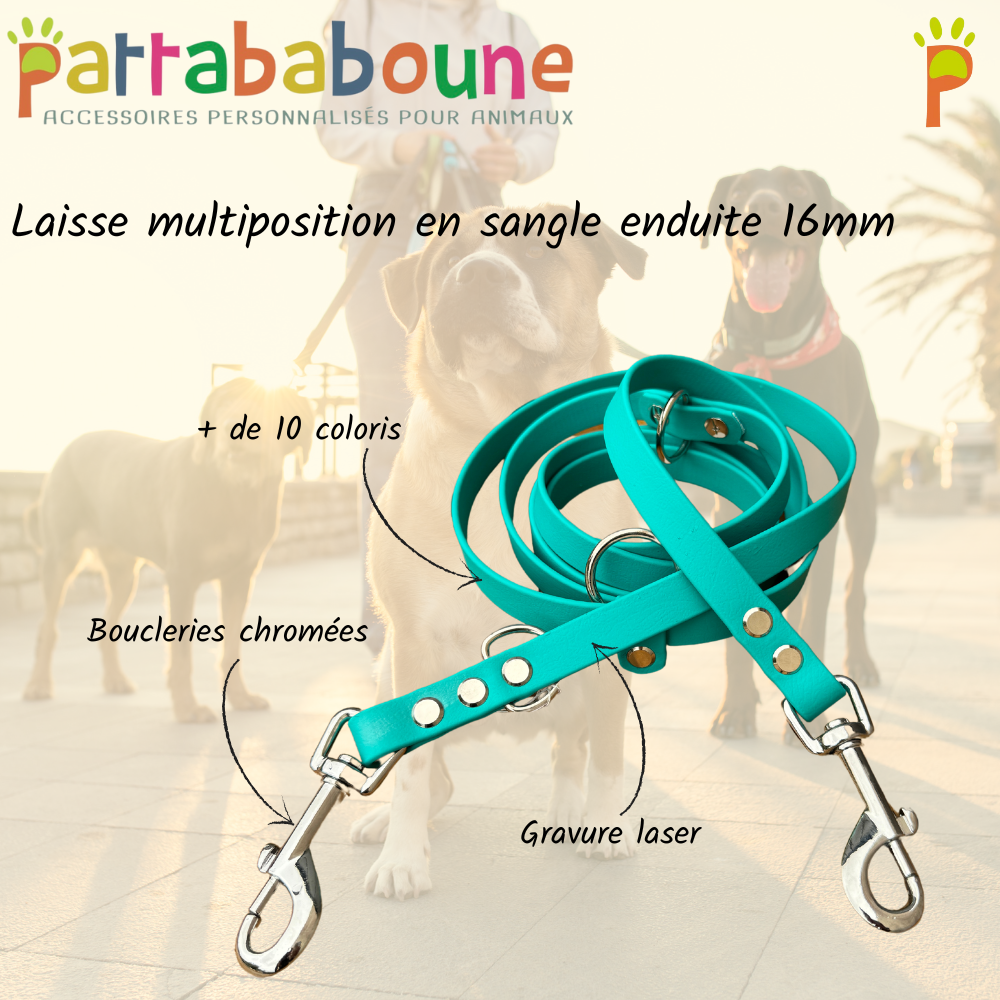 Laisse multiposition personnalisée en sangle enduite 16mm