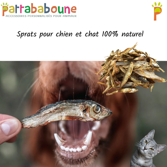 Sprats pour chien et chat 100 % naturelles