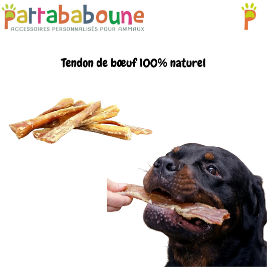 Tendon de bœuf 100% naturel