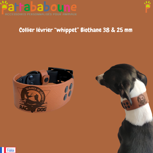 Collier lévrier whippet - Biothane 38 mm & 25 mm