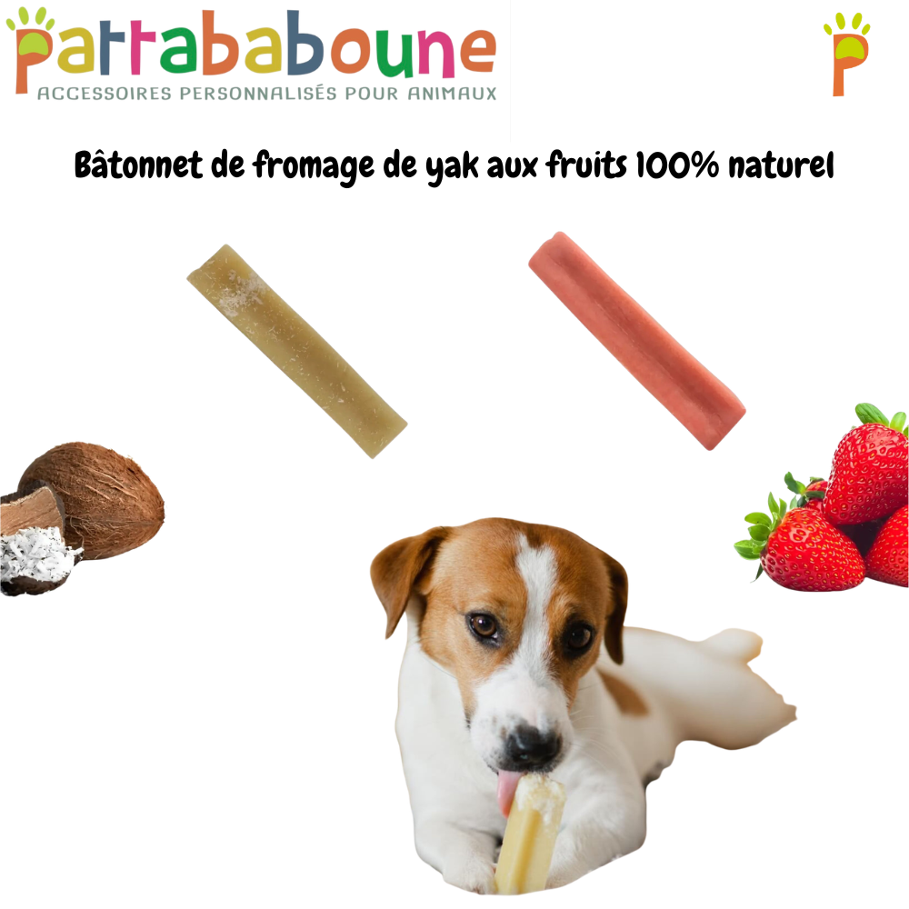 Bâtonnet de fromage de yak aux fruits pour chien 100 % naturel