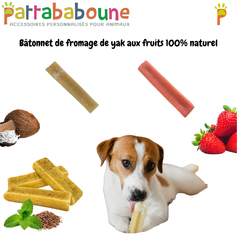Bâtonnet de fromage de yak aux fruits pour chien 100 % naturel
