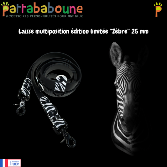 Laisse multiposition personnalisée Biothane édition limitée 25 mm - Zébre
